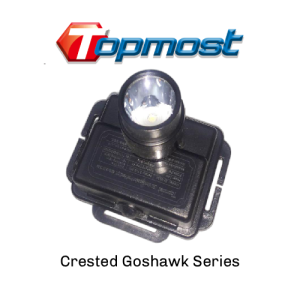 TopMost LED Explosion Proof Lighting – Crested Goshawk Series